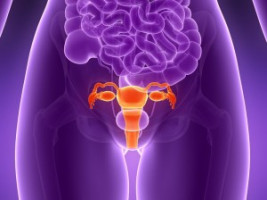 Risks factors of oestrogen therapy among women with a hysterectomy determined