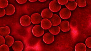 Researchers identify new drug target for blood cancer, potentially solid tumours