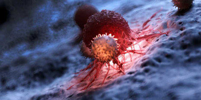 Cells from the centre of tumours most likely to spread around the body