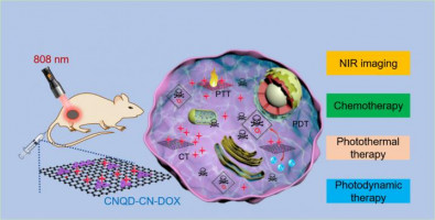 Scientists propose potential method for imaging-guided synergistic cancer therapy