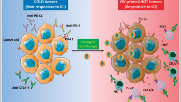 Oncolytic virotherapy: new weapon for breast cancer treatment ...
