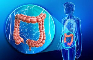 Investigators report promising results from phase 2 study of targeted therapy for rare bile duct cancer