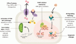 Unlocking artificial intelligence, machine learning and deep learning to combat therapeutic resistance in metastatic castration-resistant prostate cancer: a comprehensive review