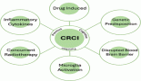 The challenge of chemotherapy-related cognitive impairment: assessing and managing cognitive decline after cancer treatment