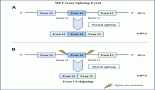 Real world outcomes with Tepotinib in a series of Indian patients with MET exon 14 skipping positive non-small cell lung cancer