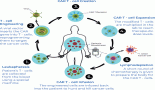 CAR-T in relapsed refractory high-grade glioma and glioblastoma – who, what, when and how?
