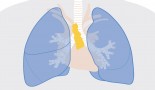 ESMO 2025: Thymic health linked to immunotherapy response