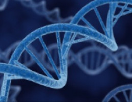 Las pruebas de ADN de los pólipos colorrectales mejoran la comprensión de los riesgos hereditarios.