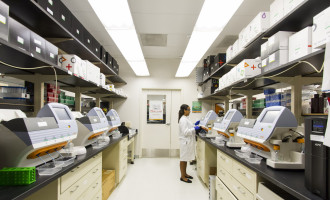 Microscopía fotoacústica de coherencia óptica mejorada con IA para la obtención de imágenes de modelos de cáncer en 3D.