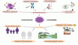 2078-water-pollution-and-childhood-leukaemia-risk-a-systematic-review
