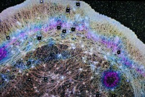 Study uncovers internal cell ‘trade winds’ that drive movement and repair