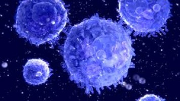 Una investigación revela cómo el cáncer de páncreas bloquea la inmunoterapia