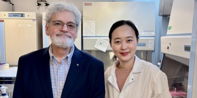 Unleashing natural killer cells against cancer