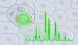 Tiny flexible lasers enable force sensing inside living cells