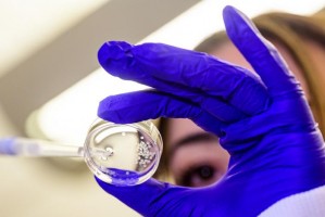 First-in-human trial demonstrates promise of implantable cytokine factories for ovarian cancer