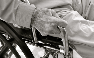 How immune-related adverse events differ in elderly gastrointestinal vs. lung cancer patients
