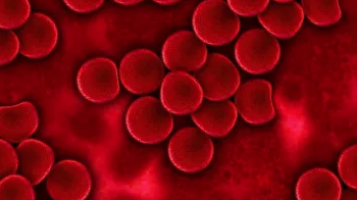 El trasplante de células madre modificadas genéticamente se presenta como una opción prometedora para los tipos de cáncer de la sangre más agresivos