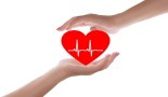 New evidence on therapies that protect the heart from anticancer drugs