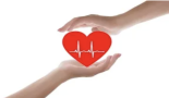 Nuevas pruebas sobre terapias que protegen el corazón frente a los fármacos contra el cáncer