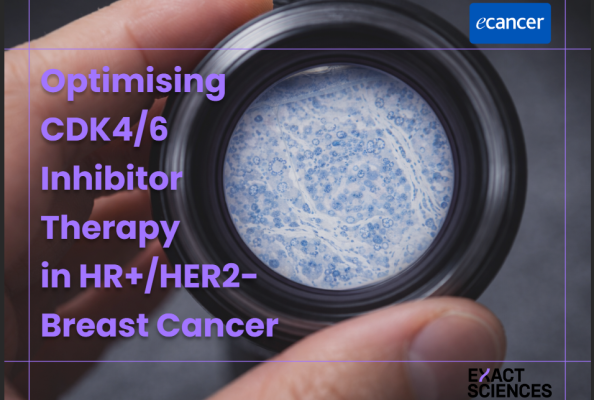 Optimising CDK4/6 Inhibitor Therapy  in HR+/HER2− Breast Cancer