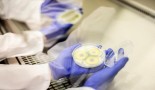 Unearthing new cancer treatments from fungi