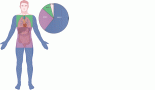 2180-clinicopathological-features-treatment-and-survival-outcomes-of-soft-tissue-sarcoma-in-the-cuban-population