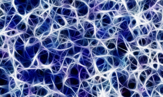 New insights into the hidden dialogue between nerves and cancer open pathways for innovative treatments