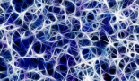 New insights into the hidden dialogue between nerves and cancer open pathways for innovative treatments