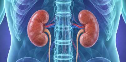Proven radiotracer highly effective in detecting rare, aggressive kidney cancer