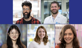 Gene that drives blood cancer drug resistance uncovered with new CRISPR activation tool