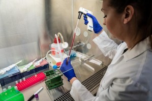 Study unveils ‘plug-and-play’ CAR T technology designed to adapt as cancer changes
