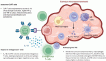 2231-car-t-cell-therapy-in-small-cell-lung-cancer-with-a-focus-on-dll3-targeted-approaches